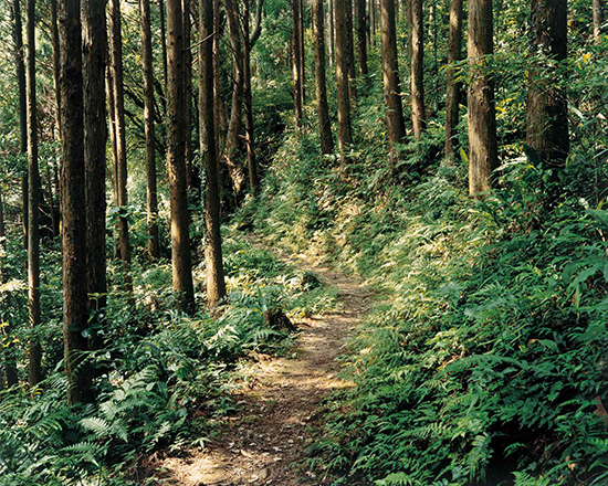 熊野古道